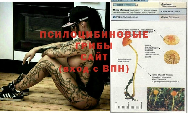 гашишное масло Алзамай