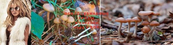 гашишное масло Алзамай